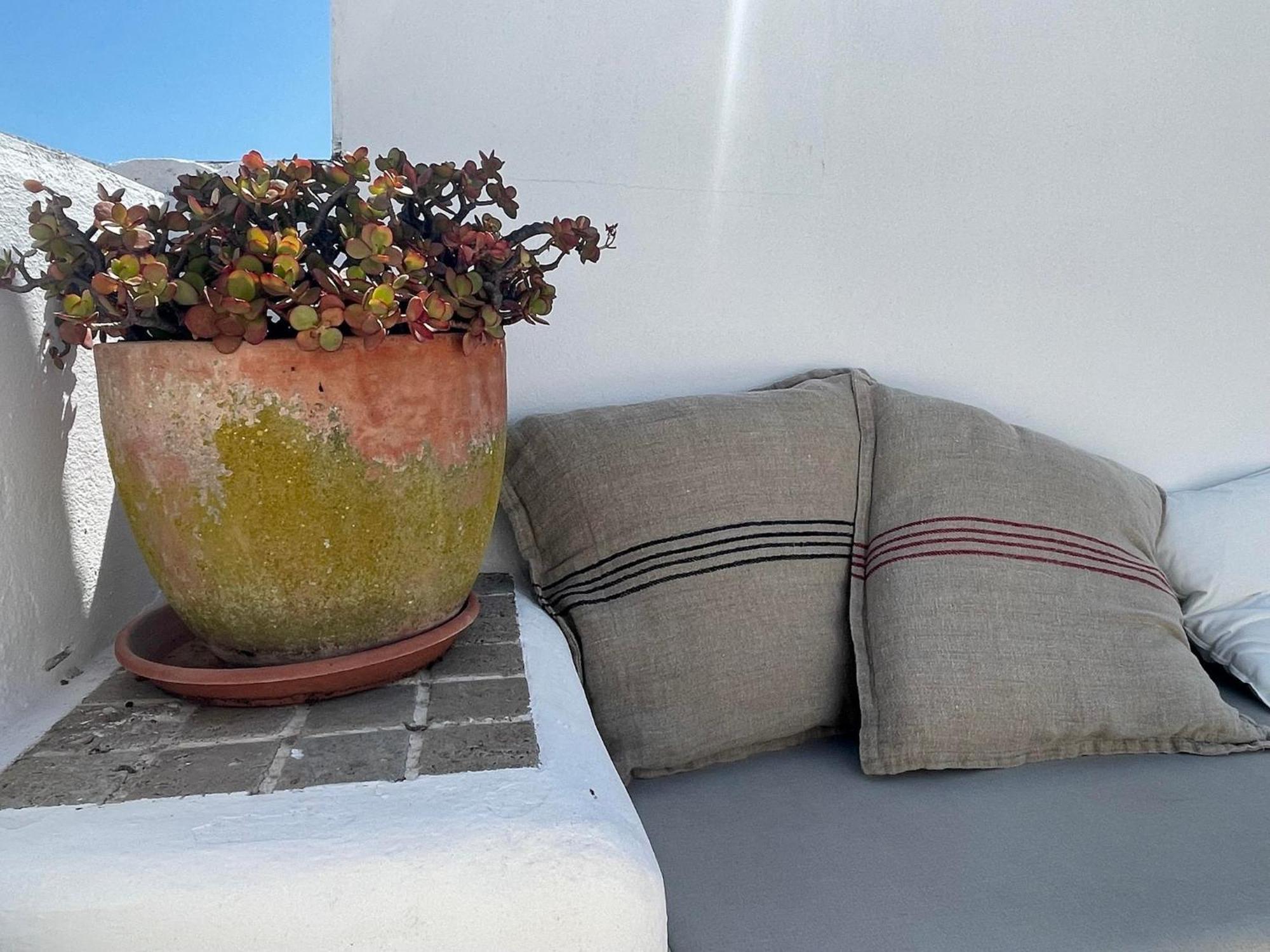 Casa Badillo - Califa Casas Vejer Villa Vejer de la Frontera Ngoại thất bức ảnh